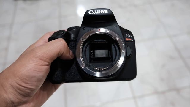MELHOR CÂMERA PARA INICIANTES EM 2021 - Canon T7/ T7+/4000D