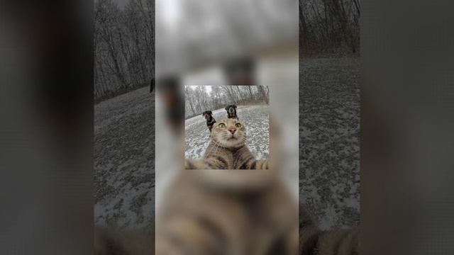 АВАТАРКИ ДЛЯ ЛЮТОЙ ТИМЫ!
