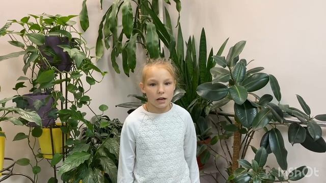 Дмитриева Каролина, 11 лет, Н.М. Рубцов "Ласточка"