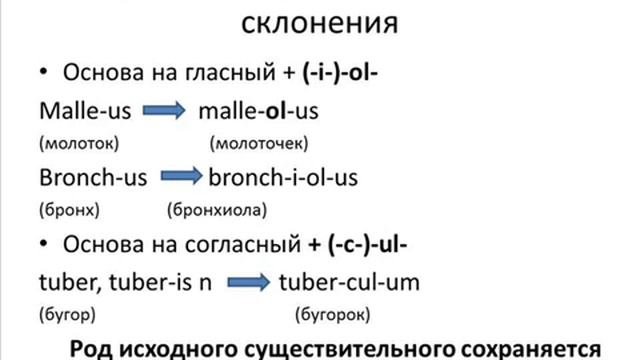 Анатомический модуль Занятие 2.mp4