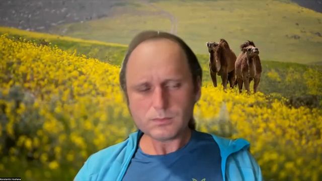 Израиль. Инструкция по применению: Путешествия по стране