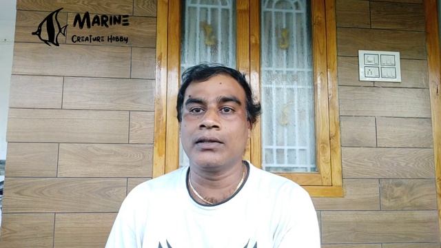 How to work protein skimmer in marine salt water | All about skimmer | Realy need skimmer | in tami