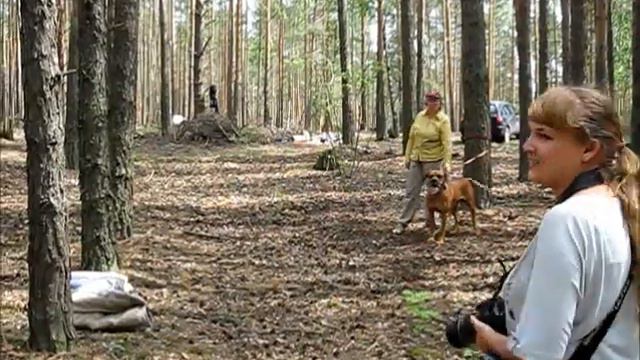 Бен_всё