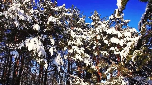 ❄Beautiful Snow Scene - Winter Scene - Relaxing Piano Sleep Music: Meditation, Spa Music & Study #9