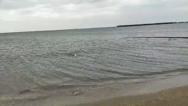 Рыбалка Кефаль.Рыбалка  со спиннингом на каспии
