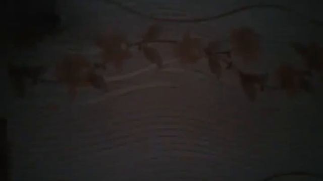 Проверка камеры в ютубе