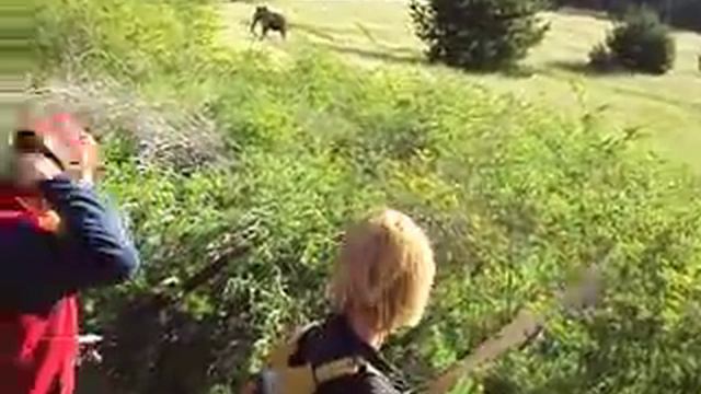 DB Mamoth Hunters.AVI