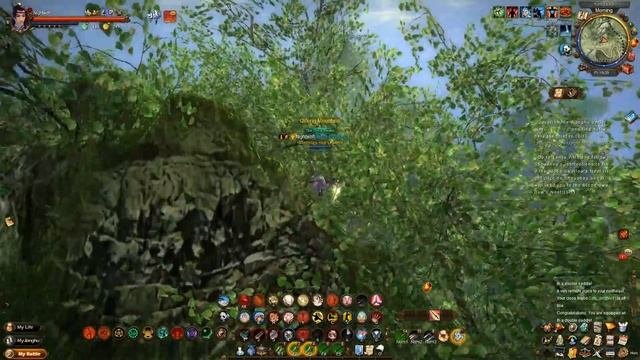 Age of Wushu - How to Disguise NEW UPDATE