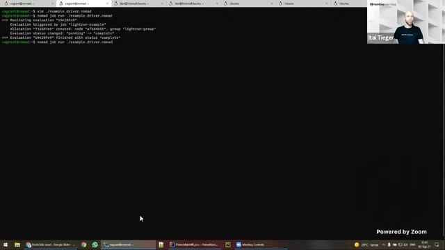 Nomad Integration with Lightrun