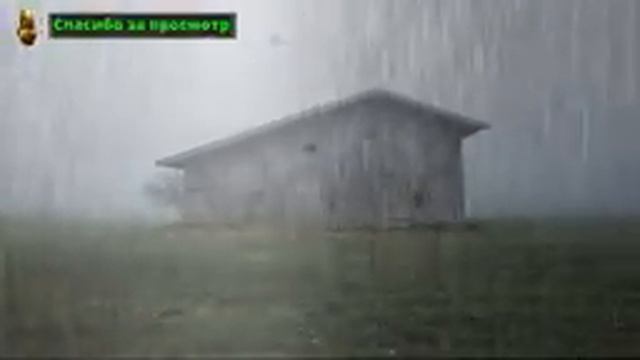 Сон за 5 минут! На фоне Дождя, Грома, Тумана, Релакс!!!