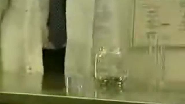 Кто МЫ- - Блохи в банке или люди в социуме.mp4