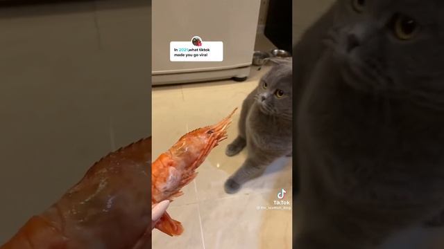 Фу