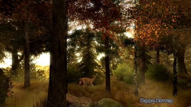 Гарри Поттера и Философский камень