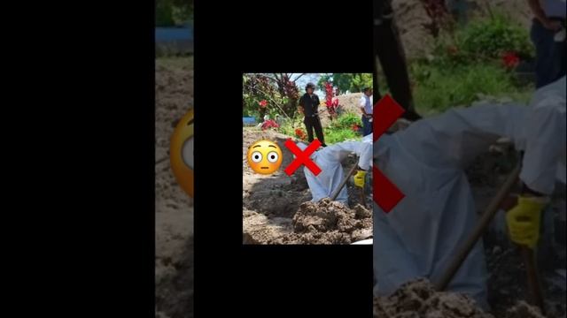 ПИНОККИО СУЩЕСТВОВАЛ ?❗️