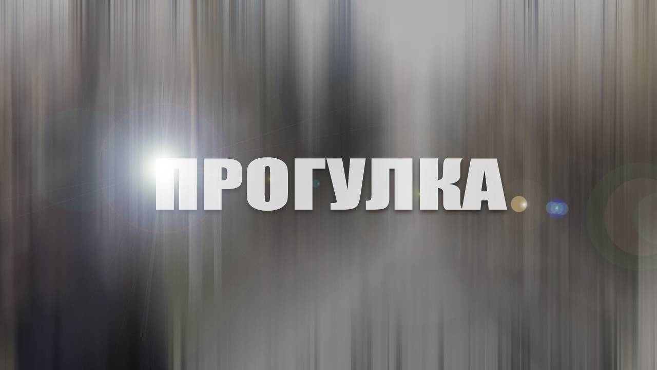 VHS Прогулка Вторые 90-ые