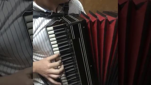Кавказская гармошка - Абхазский танец