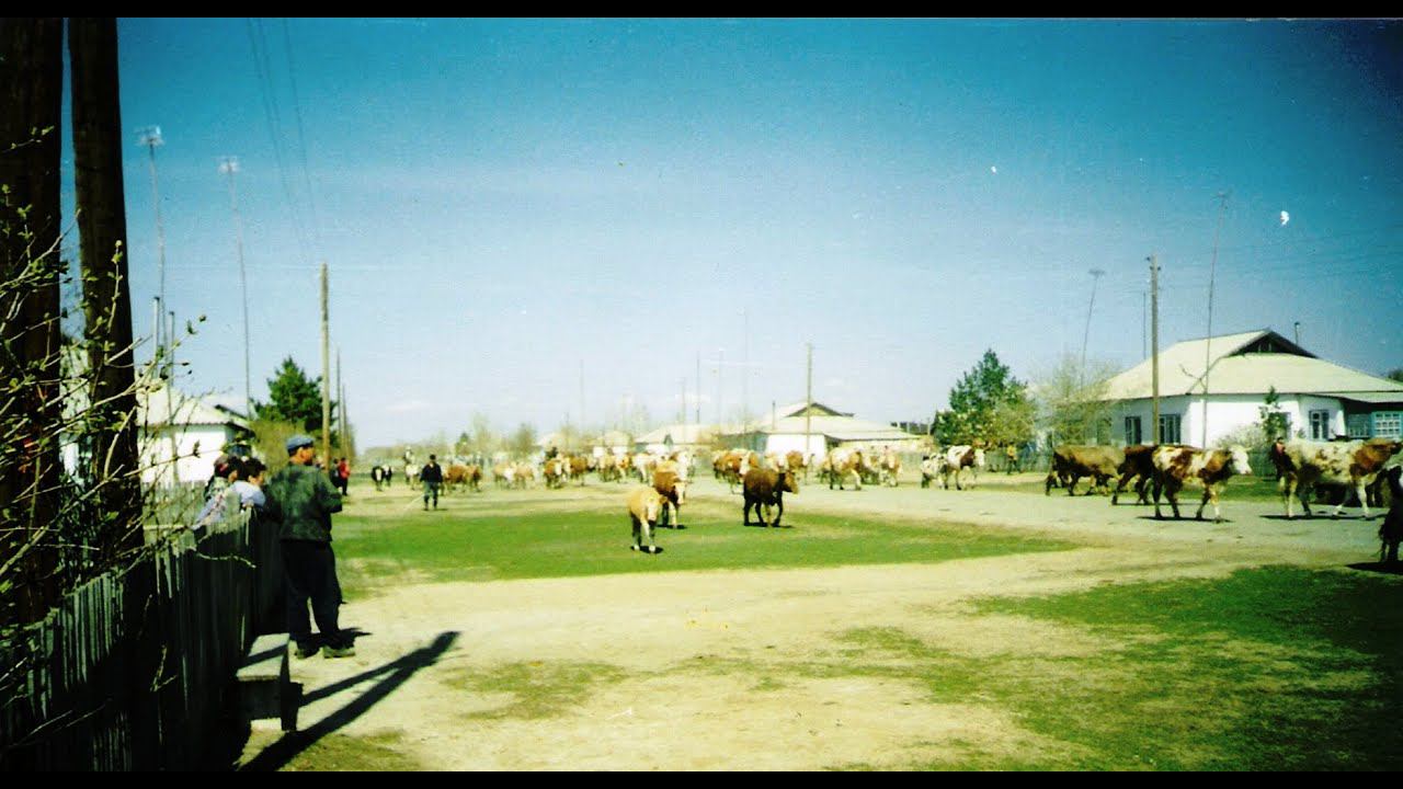 Nowoiwanowka 2004. Новоивановка 2004