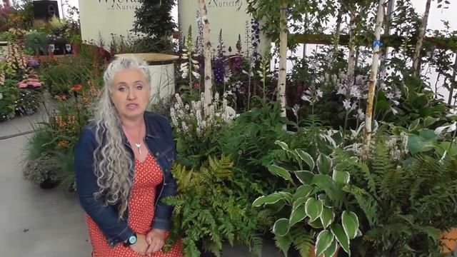 Caroline Tatham talks about shade and woodland plants