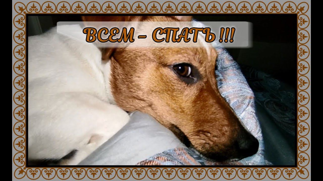 ВСЕМ СПАТЬ......................)))))))))))))))))))))))))))))