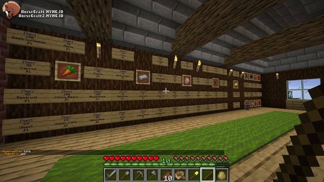 Minecraft MultiPlayer Survival Server HorseCraft in 1.14.4 - Tutorial Guide #1