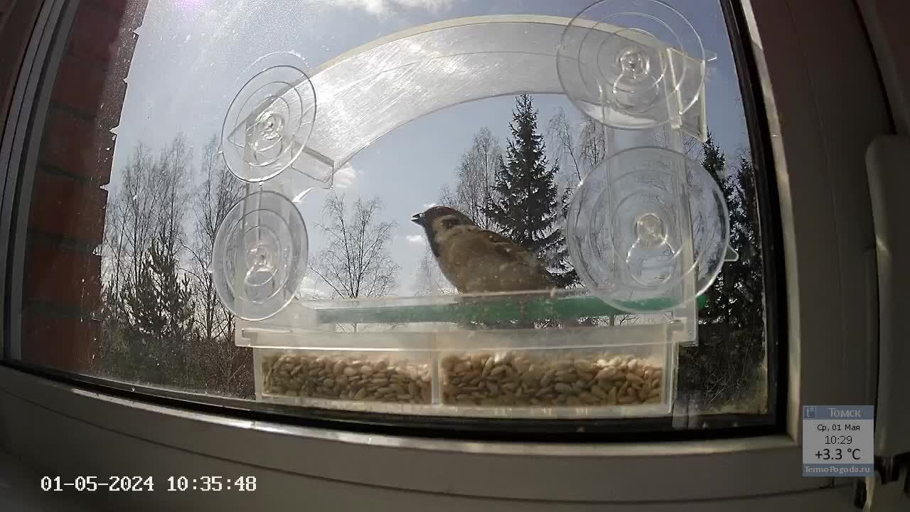 Кормушечка 01.05.24 часть 2