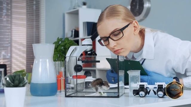 Decoding Animal Languages With AI