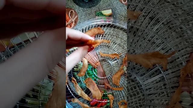 Куринные снеки (чипсы).mp4