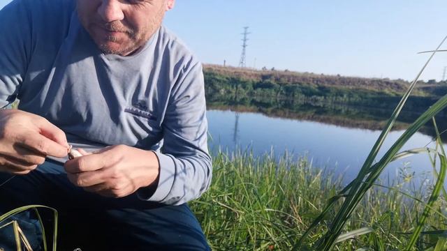 Ловля карася на поплавок / Как поймать карася