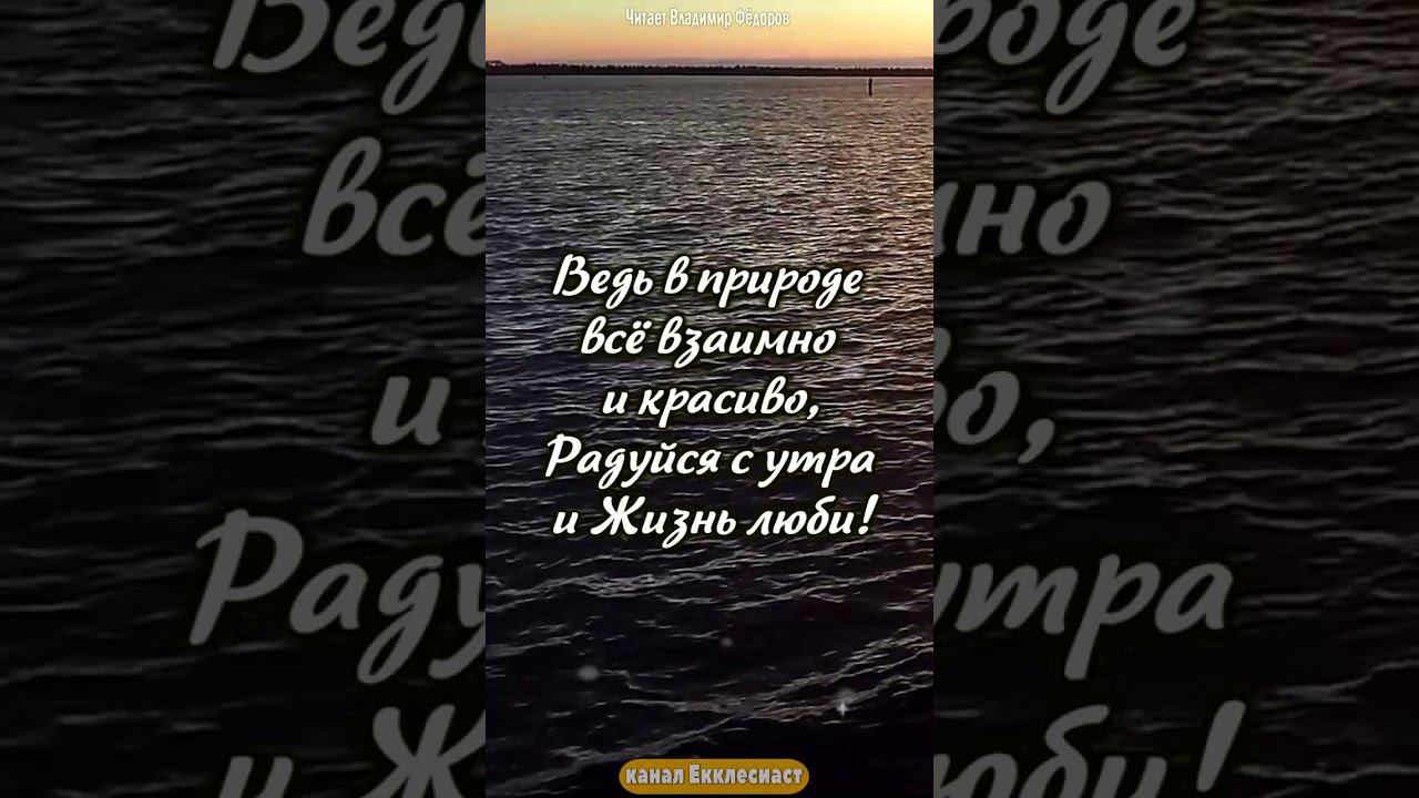 Пусть это утро Радость принесёт... #мудрость #цитаты #shorts