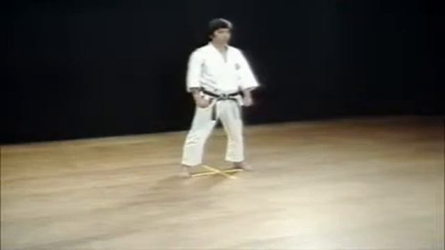 0926 Enpi-Shotokan Karate Kata-Hirokazu Kanazawa
