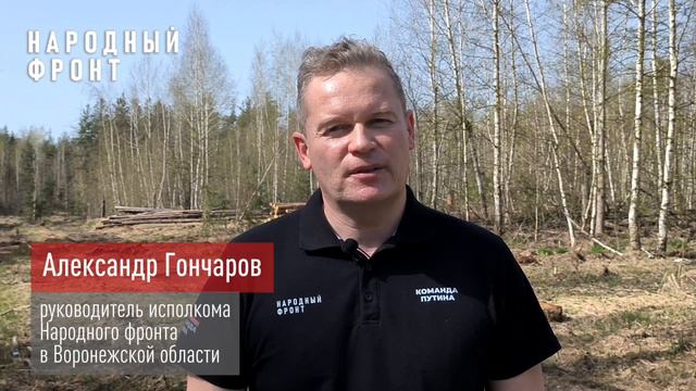 Народный фронт просит проверить законность вырубки сосен на территории «зеленого щита» Воронежа