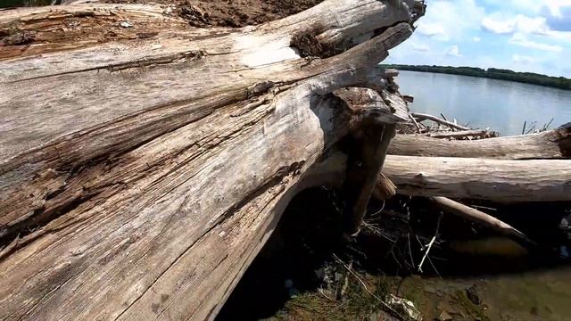 Коп на красивых берегах,где отдыхали любители природы.