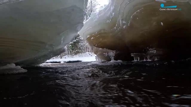 Дикие выходные с Павлом Глазковым - Линдуловская роща