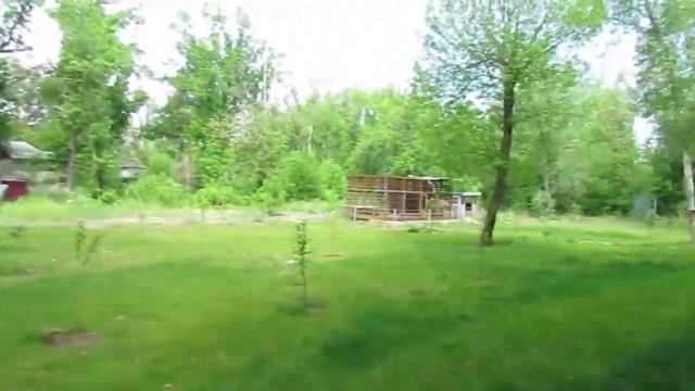 Турбаза Дубовая роща. Медведь