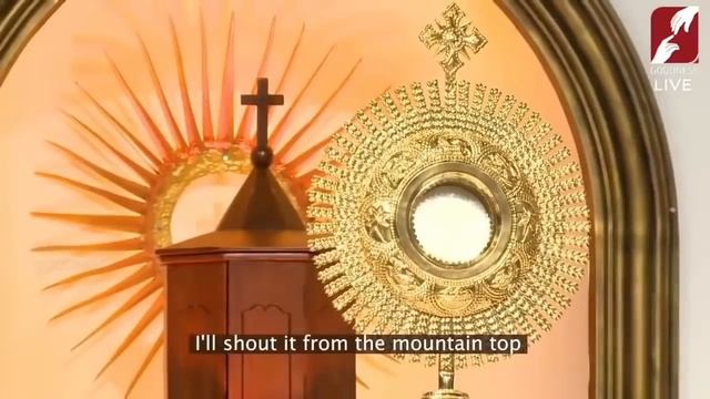 Divine Mercy Healing Adoration | Fr Augustine Vallooran | 28 May | Divine Colombo