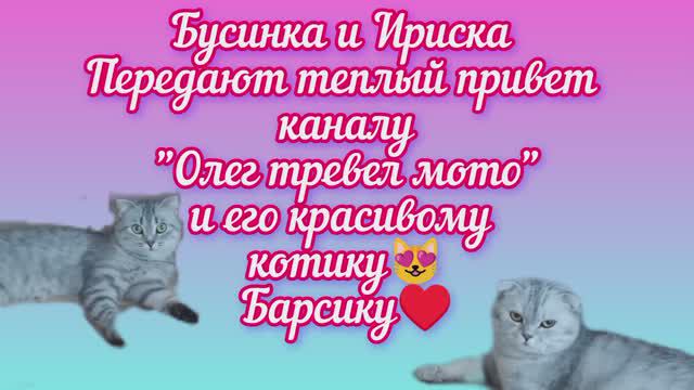 ❤️ Спасибо каналу "Олег тревел мото" за поддержку 🤗