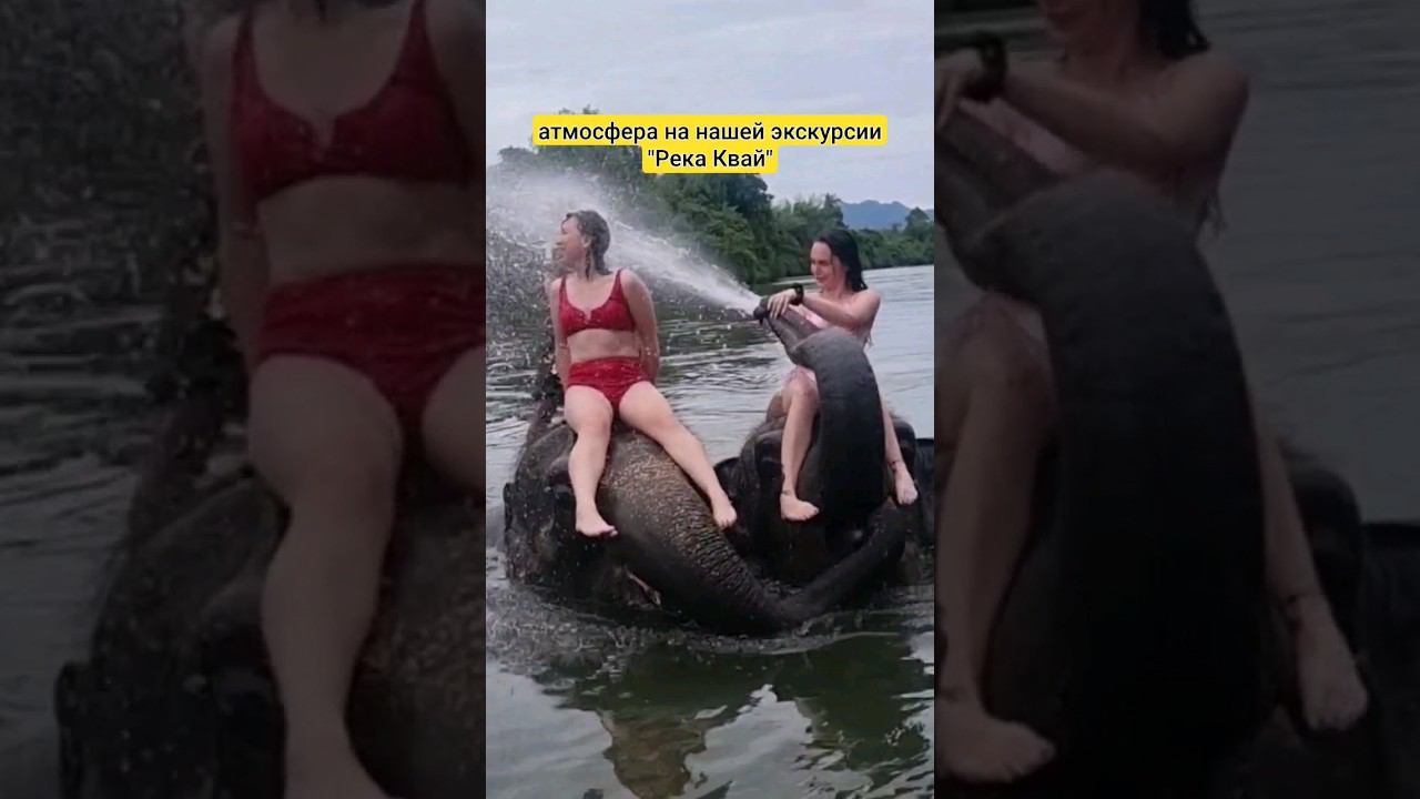 Экскурсии в Паттайе с лицензией ТАТ ( министерства туризма Таиланда) #экскурсиивпаттайе