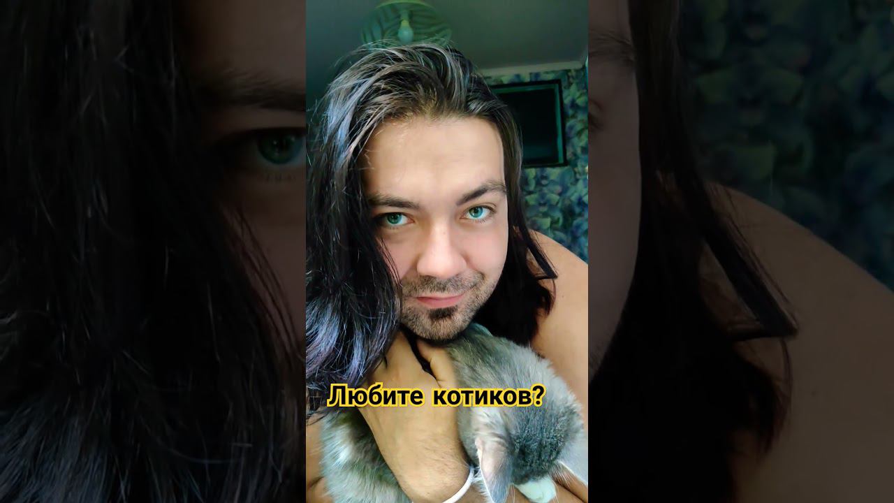 мой кот Август