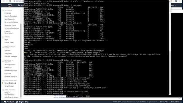 The Frank Ozz ASP.NET Microservices course AWS cloud w/the tokenserver backed by the load balancer.