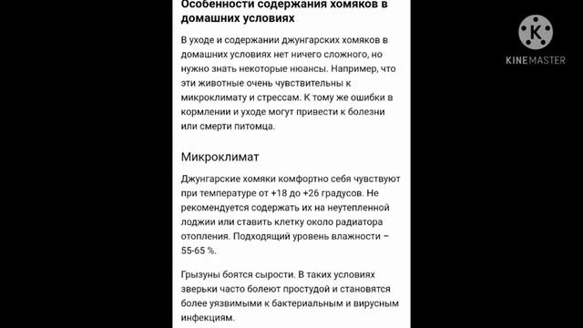 СОДЕРЖАНИЕ ХОМЯКА ?