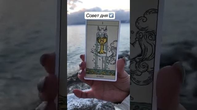 Совет дня от карт таро! таро taro