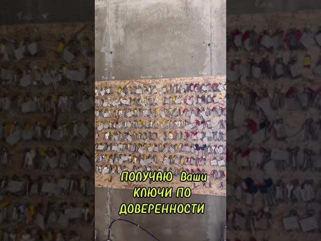 28 июня 2024 г.