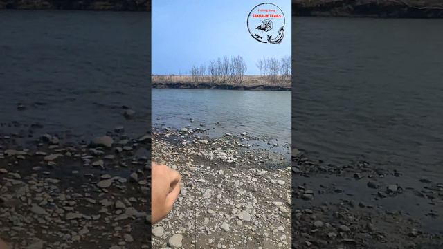 С Серёгой на Фирсовке/Подпишись☝🏻🤝🏻