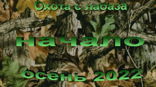 Лабаз 2022