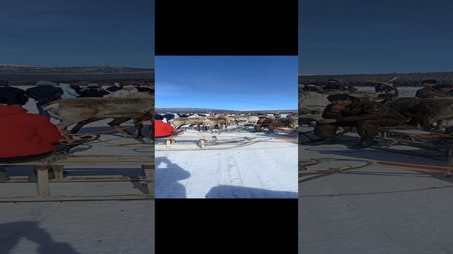 VID_20230325_124755.mp4