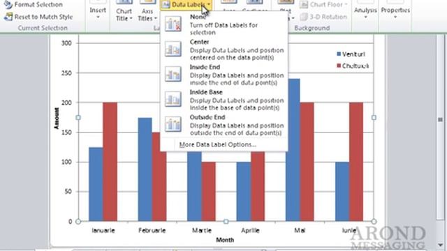 Using Excel 2010 - Add Data Labels