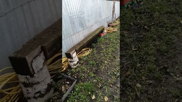 делаем дизайн сада с нуля