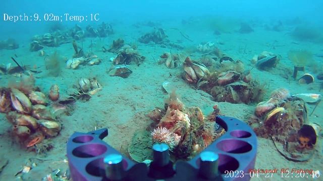 Новик съемки подводным дроном Fifish v6 2часть