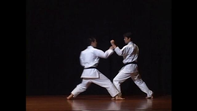 真行草  Shingyōsō. Каллиграфия и каратэ.