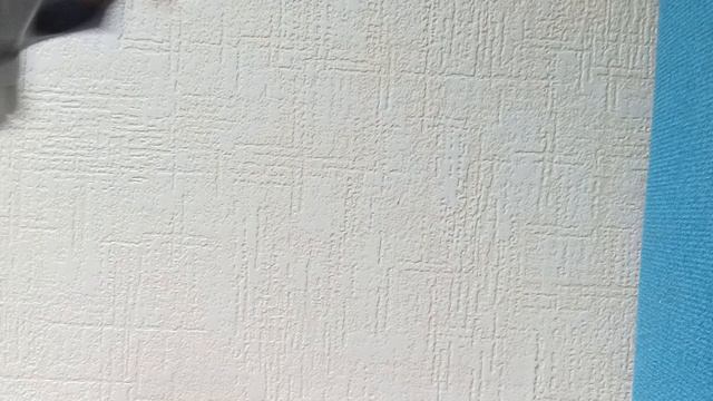 1000000811.mp4